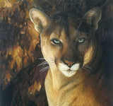 Forest Edge Art Card