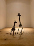 Bronze Giraffe - Black