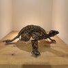 AM Leopard Tortoise by Archie Mutsiko