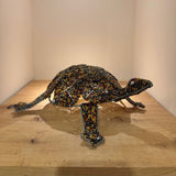 AM Leopard Tortoise by Archie Mutsiko