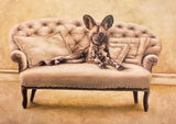 Wildlife at Leisure
