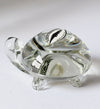 Ngwenya Glass Tortoise
