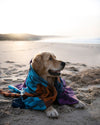 Mungo Moholo Family Blanket