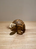Bobble-Headed Tortoise of Burnt Jacaranda