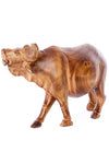 Cape Buffalo of Burnt Jacaranda