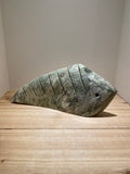 “Combfish” Series - IV by Gift Matsuhuni