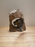 Shona Circle Series by C. Matsanura