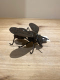 “Honey Bee” by James Suraji