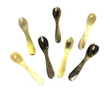 HD Spice/Honey Spoon of Ankole Horn