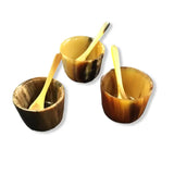 HD Ankole Horn Spice Pot/Spoon