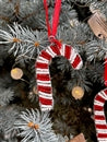Bridge Ornament
