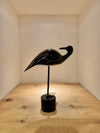 Egyptian Duck of Mahogany