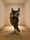Spotted Eagle-Owl by Archie Mutsiko