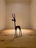 Bronze Springbok