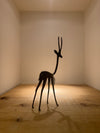 Bronze Springbok