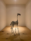Whimsical Zebra