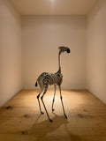 Whimsical Zebra