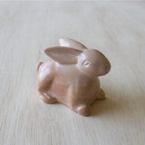Natural Bunny of Kisii