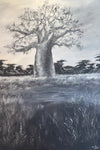 “Baobab” by Bettina Roedling