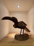 Hornbill of Reclaimed Driftwood