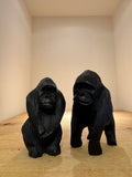 Gorilla of Painted Jacaranda