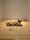 Leopard & Cubs of Jacaranda