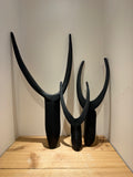Swazi Abstract Nguni Cattle Horns