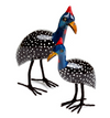 Guinea Fowl: Painted Jacaranda