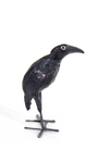 Seedpod Bird