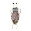 Kioni Spotted Longhorn Beetle Beaded Brooch