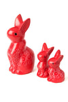 Bunny of Kisii - S