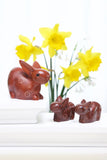 Bunny of Kisii - S