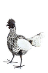 Mother Hen of Meshed Metal
