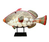 Porcupine Ceramics-Marine Life (Fish & Whales)