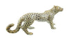 Porcupine Ceramics - Animals