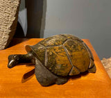“Tortoise l” by Fanuel Chingadza